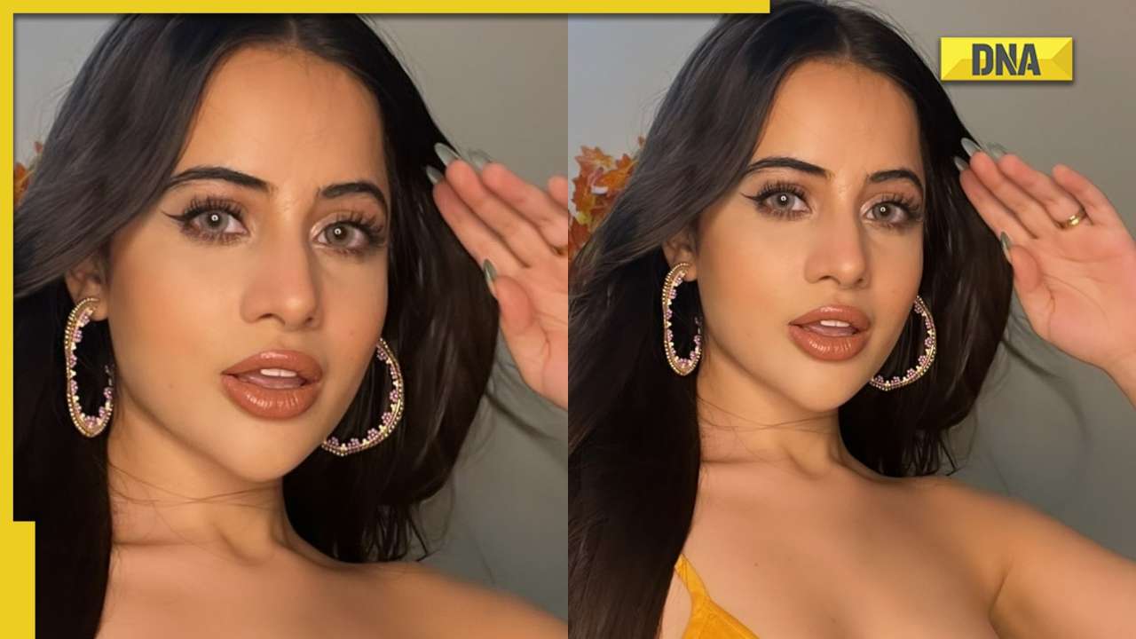 Urfi Javed crosses all limits in new jaw-dropping picture, bold photo breaks the internet