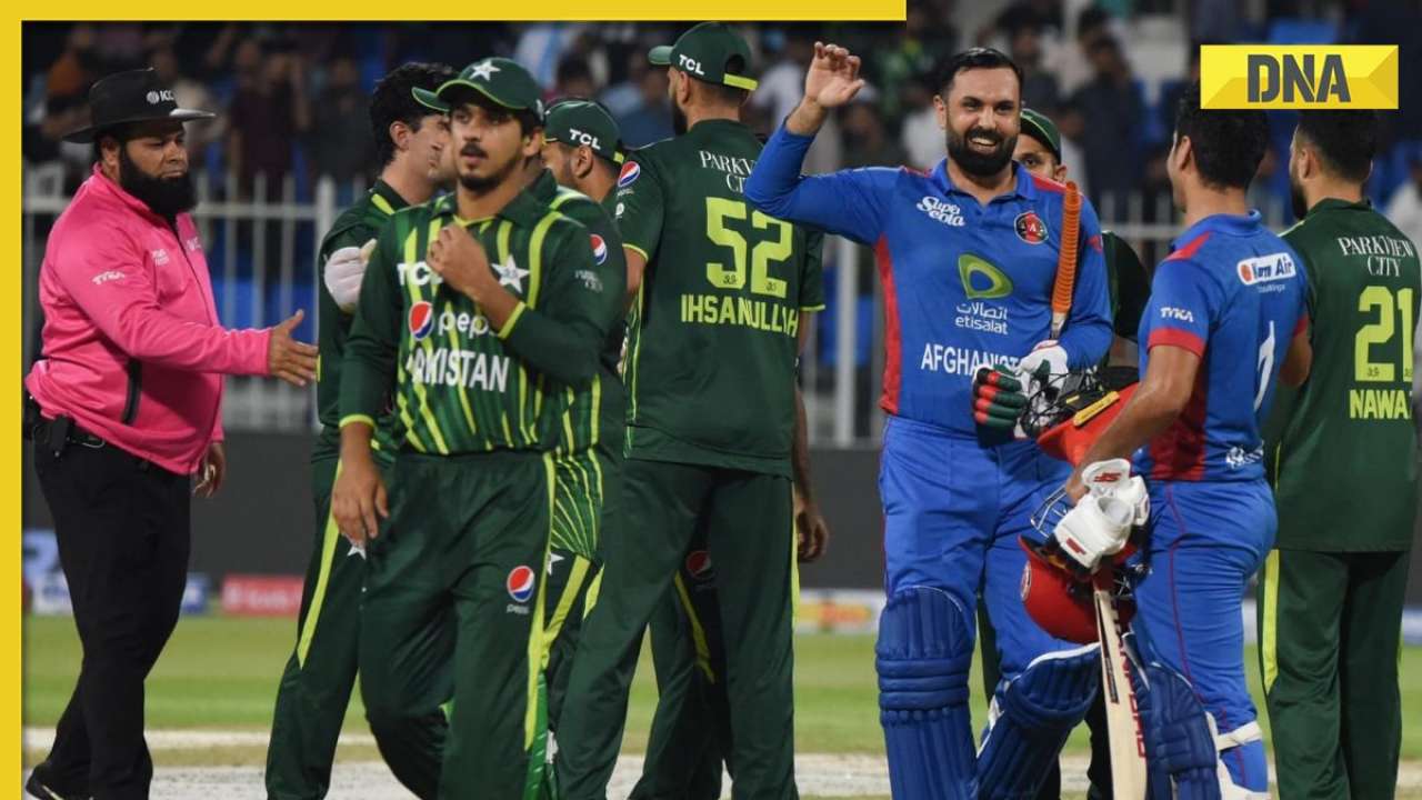 Afghanistan record historic series win against Pakistan, Rashid Khan ...