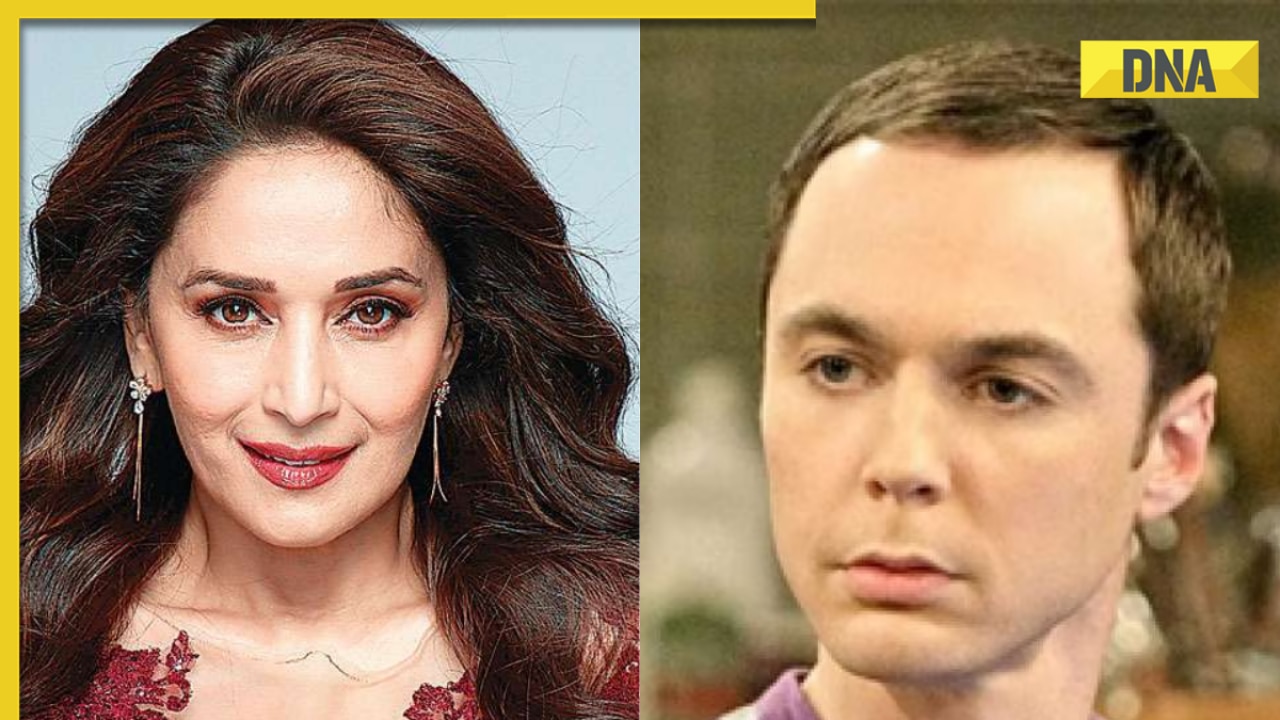 Madhuri Ki Xvideo - Madhuri Dixit vs The Big Bang Theory explained: Netflix sued for 'leprous  prostitute' comment, know case