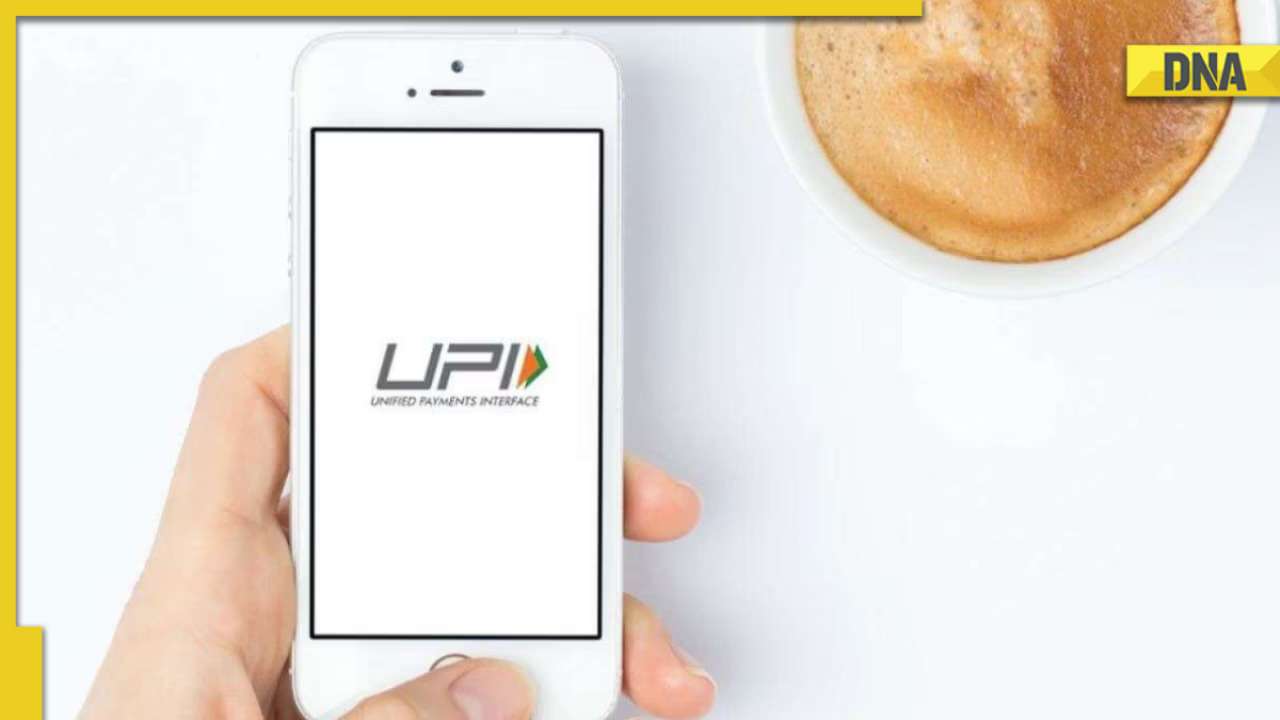 DNA Verified: No charges for customers in UPI transactions, only 1.1 percent interchange fee for PPI transactions