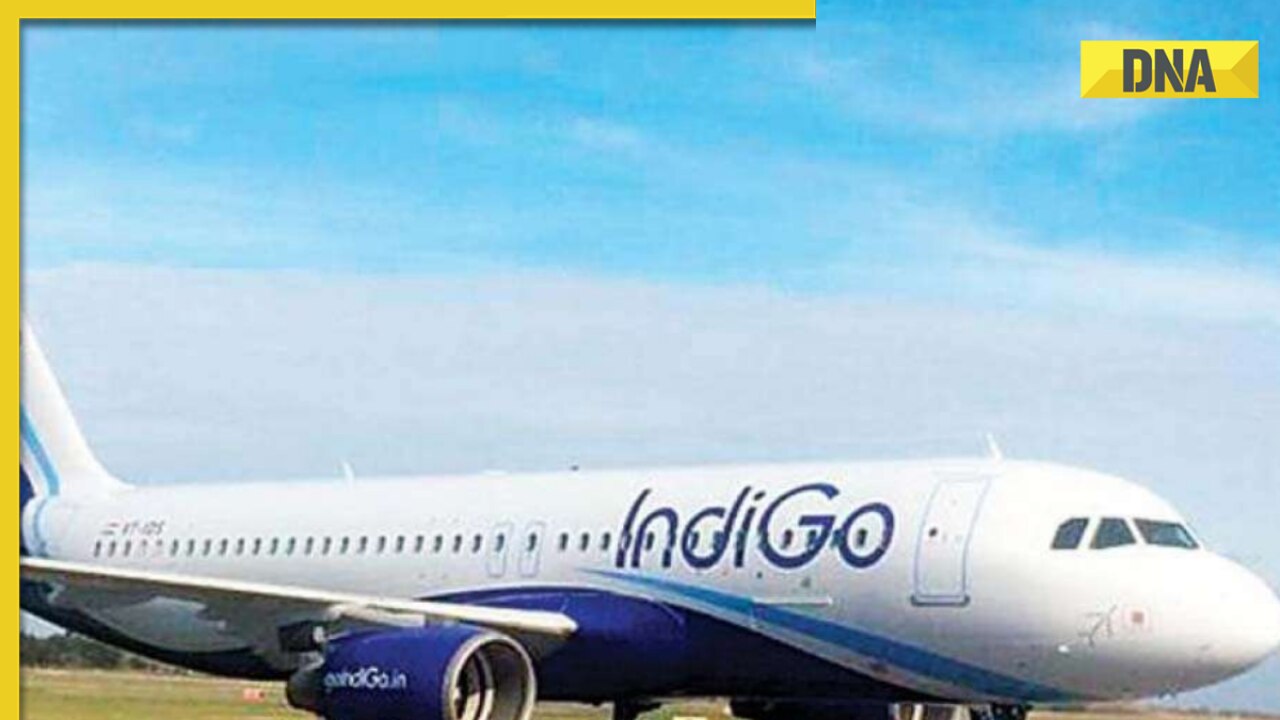 Swedish national allegedly molests IndiGo air hostess in Bangkok to Mumbai flight; arrested