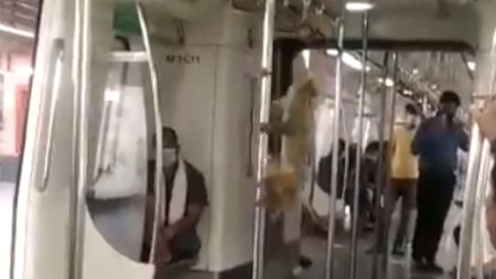Monkey travels in Delhi Metro