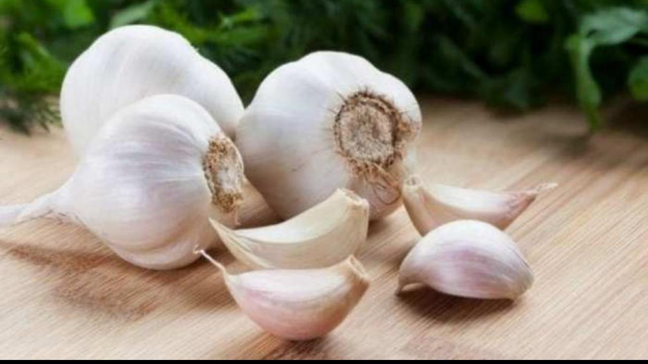 Garlic For Joint Pain