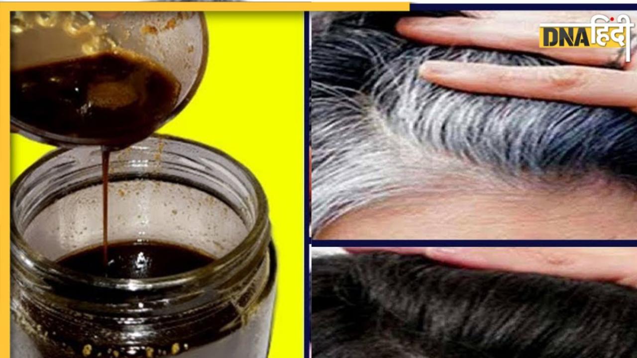 White Hair  Remedy: सफेद बालों को इतना काला कर देगा ये तेल की भूल जाएंगे हेयर डाई लगाना, जान लें इसे बनाने की रेसेपी