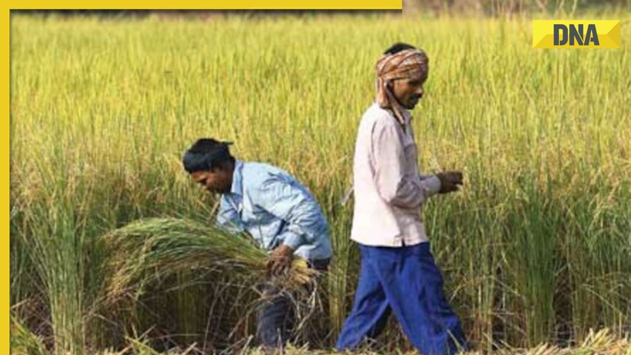 PM-Kisan Samman Nidhi Yojana: 14th instalment to be released soon, check details