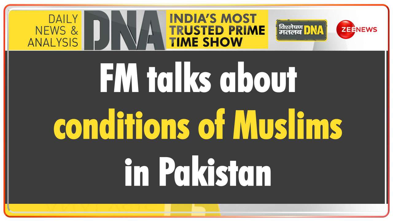 DNA | FM Nirmala Sitharaman talks about conditions of Muslims in Pakistan