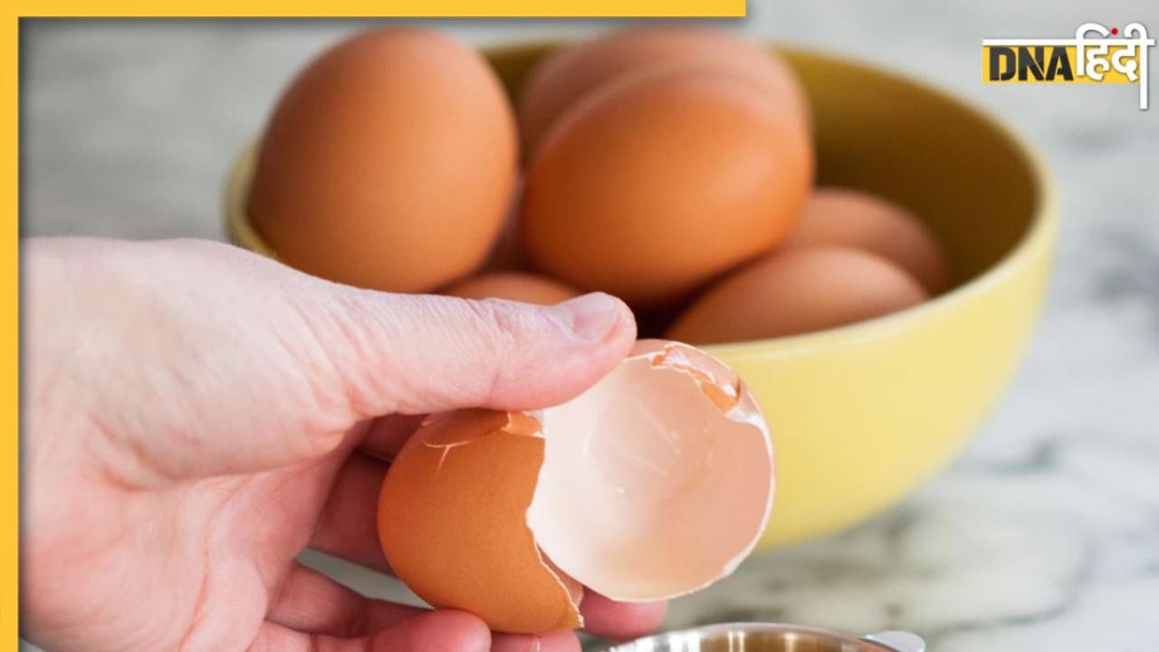Egg Expiry Date: इतने दिनों बाद एग हो जाता है खराब, जानें अंडे की एक्सपायरी और फ्रेशनेस की पहचान का तरीका