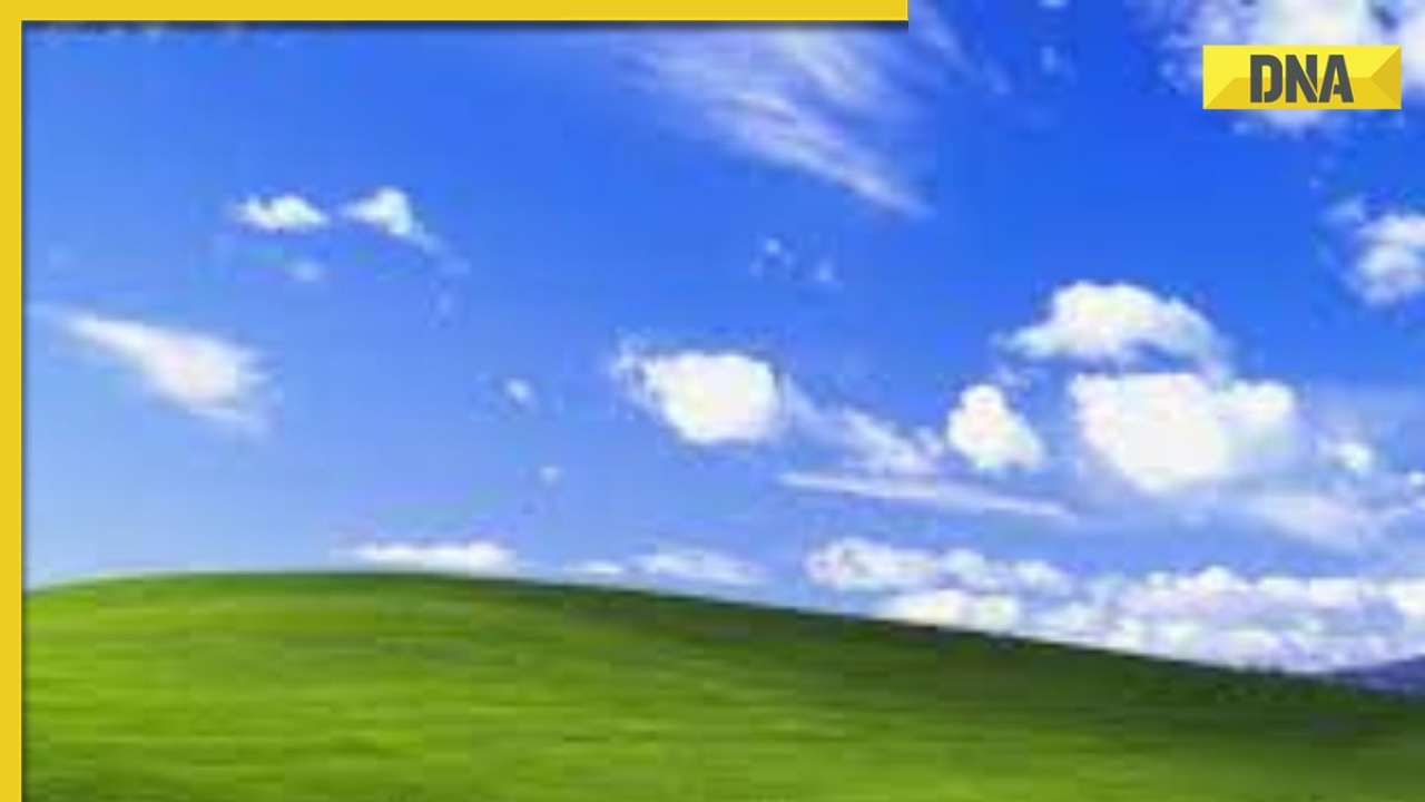 Microsoft honors the Windows XP default computer background | Daily Mail  Online