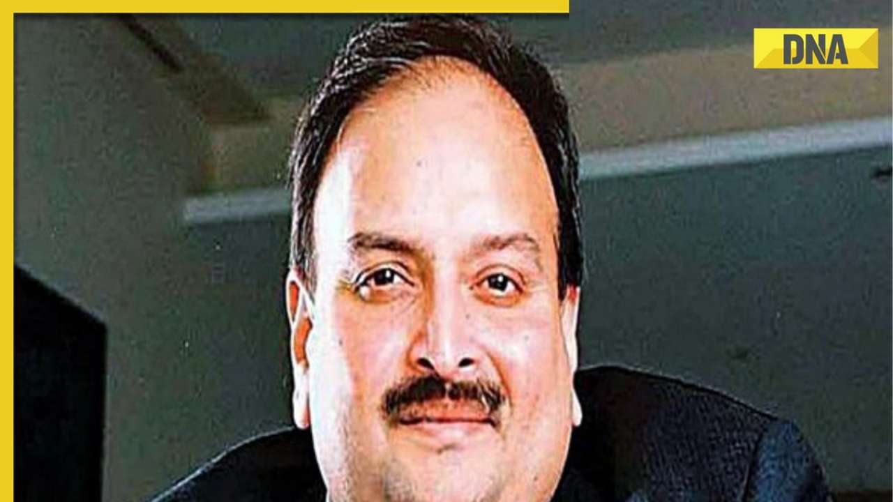 Fugitive diamantaire Mehul Choksi gets court relief, can't be removed from Antigua and Barbuda