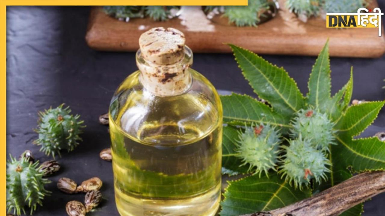 Hair Growth Oil: इस मैजिकल हेयर ऑयल से बालों की ग्रोथ होगी तेज, 3 हफ्तें में चिकनी खोपड़ी पर नजर आने लगेंगे नए बाल