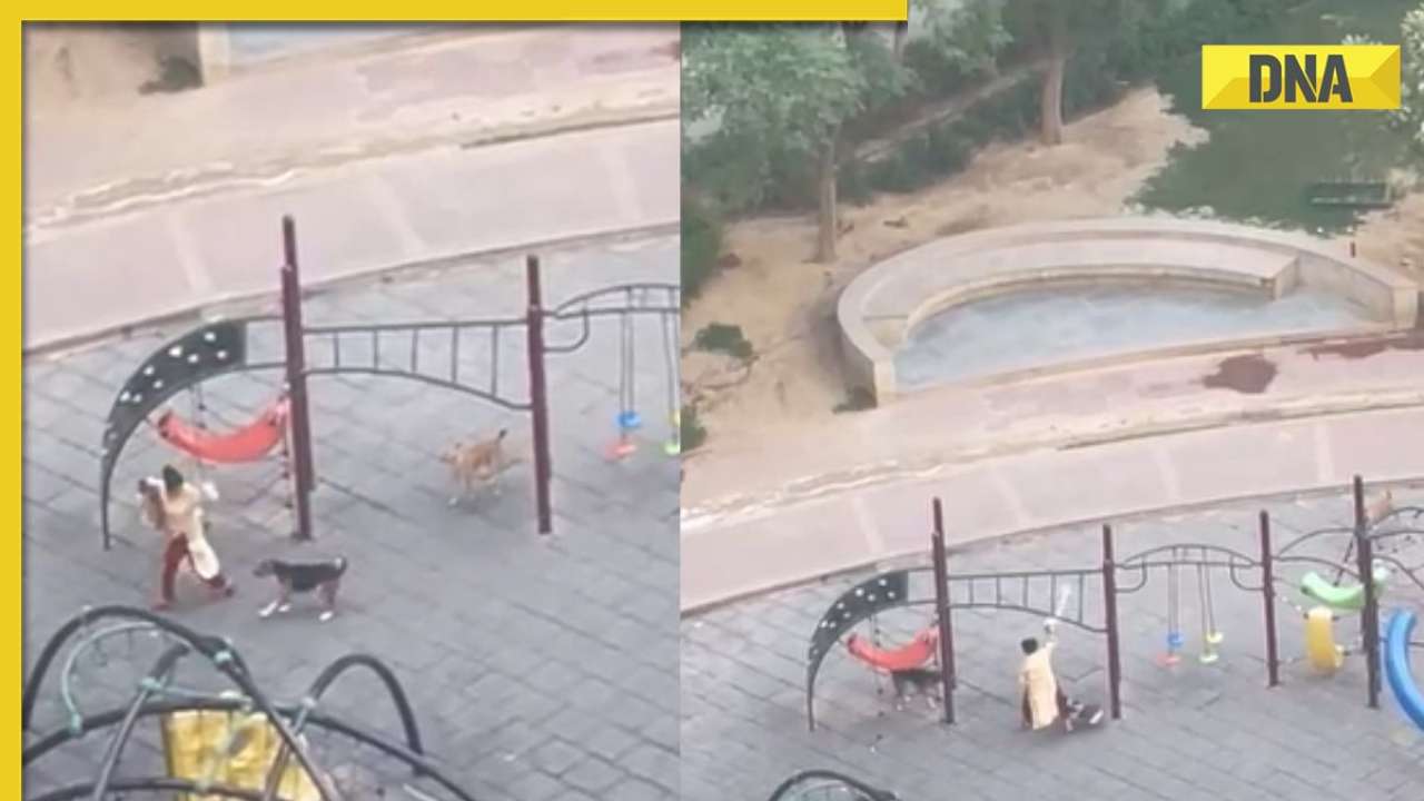 Noida shocker: Stray dogs attack woman and pet dog in Mahagun Society in harrowing video