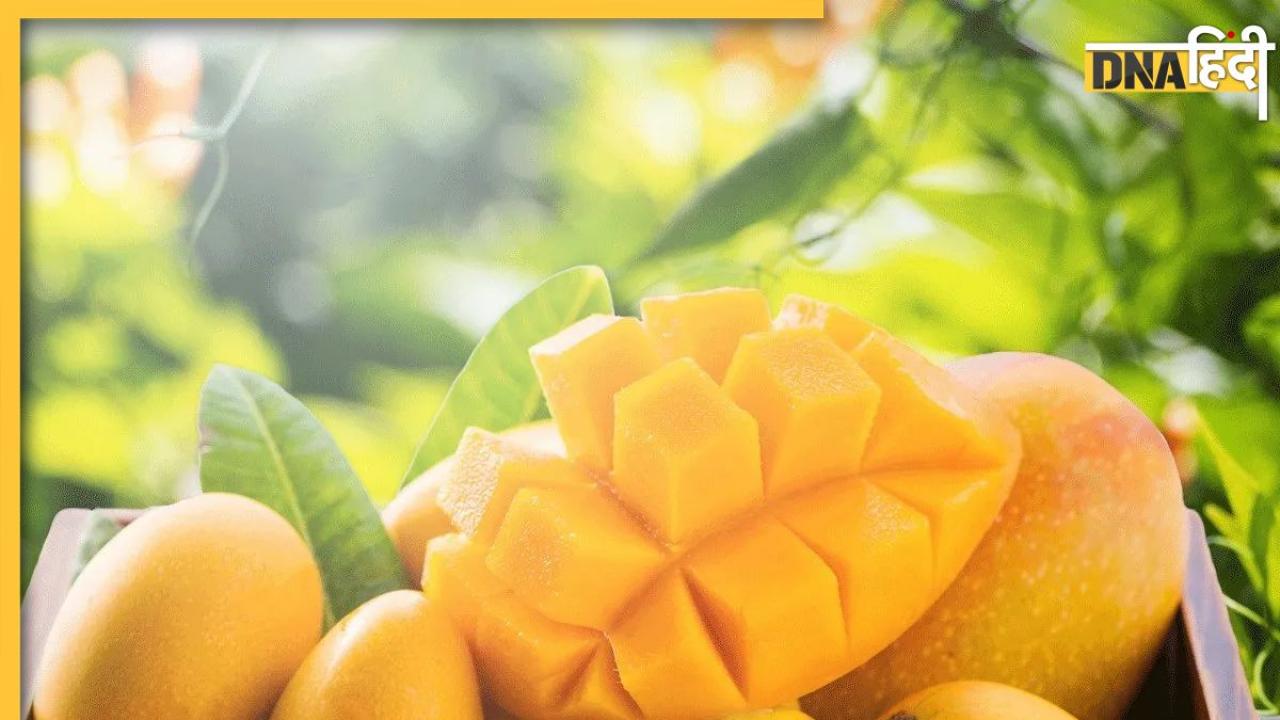 Mango Effect Uric Acid: इन लोगों को भी नहीं करना चाहिए फलों के राजा आम का सेवन, जोड़ों में बढ़ जाती है दर्द और सूजन