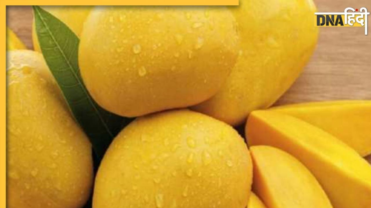 Soak Mango Benefits: आम खाने से पहले कर लें ये काम, नहीं होगी स्किन से जुड़ी कोई समस्या, पेट भी रहेगा दुरुस्त