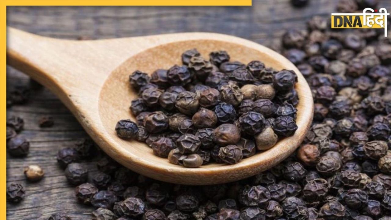 Black Pepper Benefits: सुबह खाली पेट खाएं काली मिर्च Blood Sugar और Cholesterol एक साथ होंगे कंट्रोल, जानिए इसके अन्य फायदे