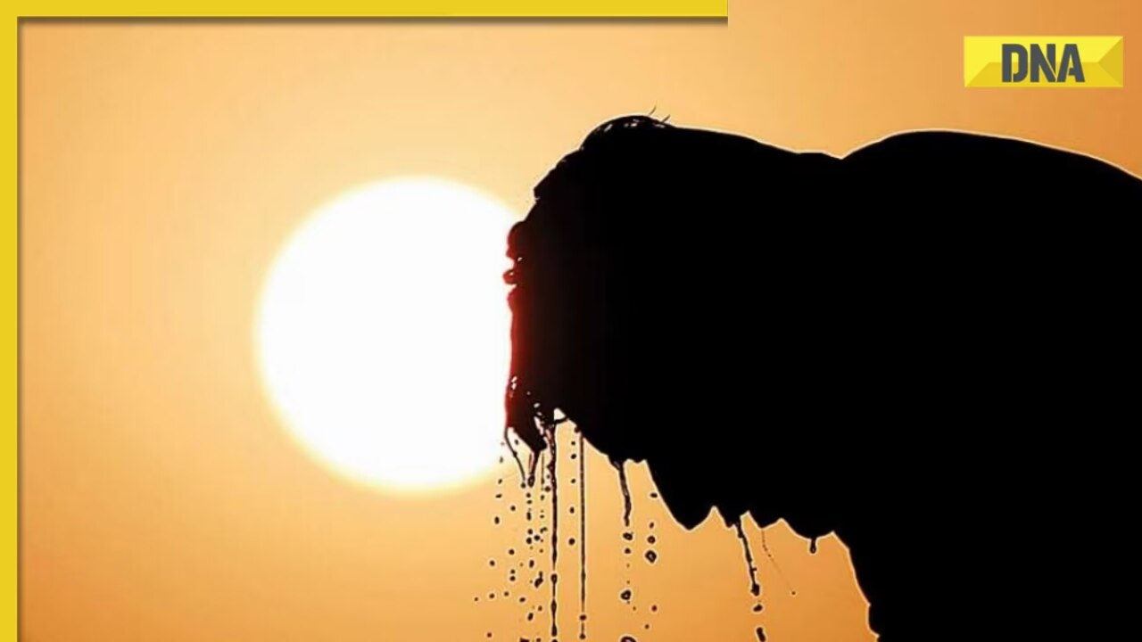 IMD weather update: No heatwave conditions over most of India for 5 days, these states may receive rainfall