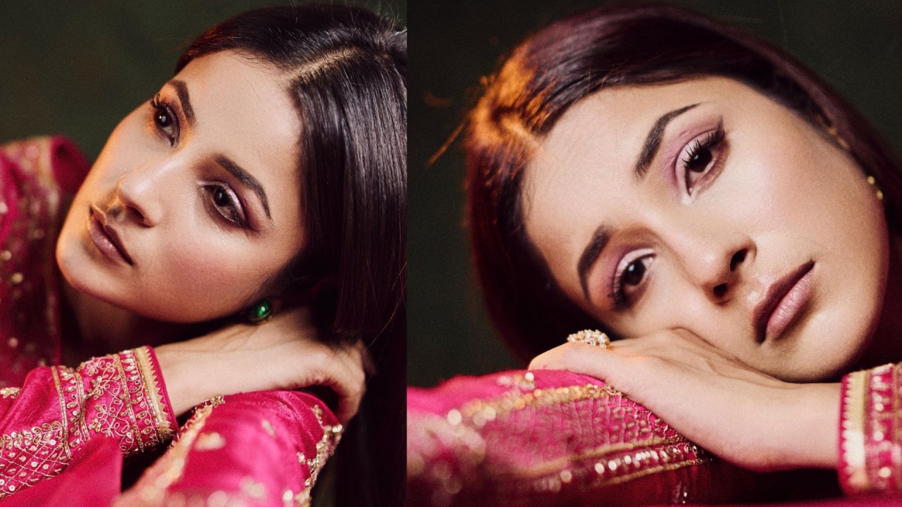 Shehnaaz Gill expressions 