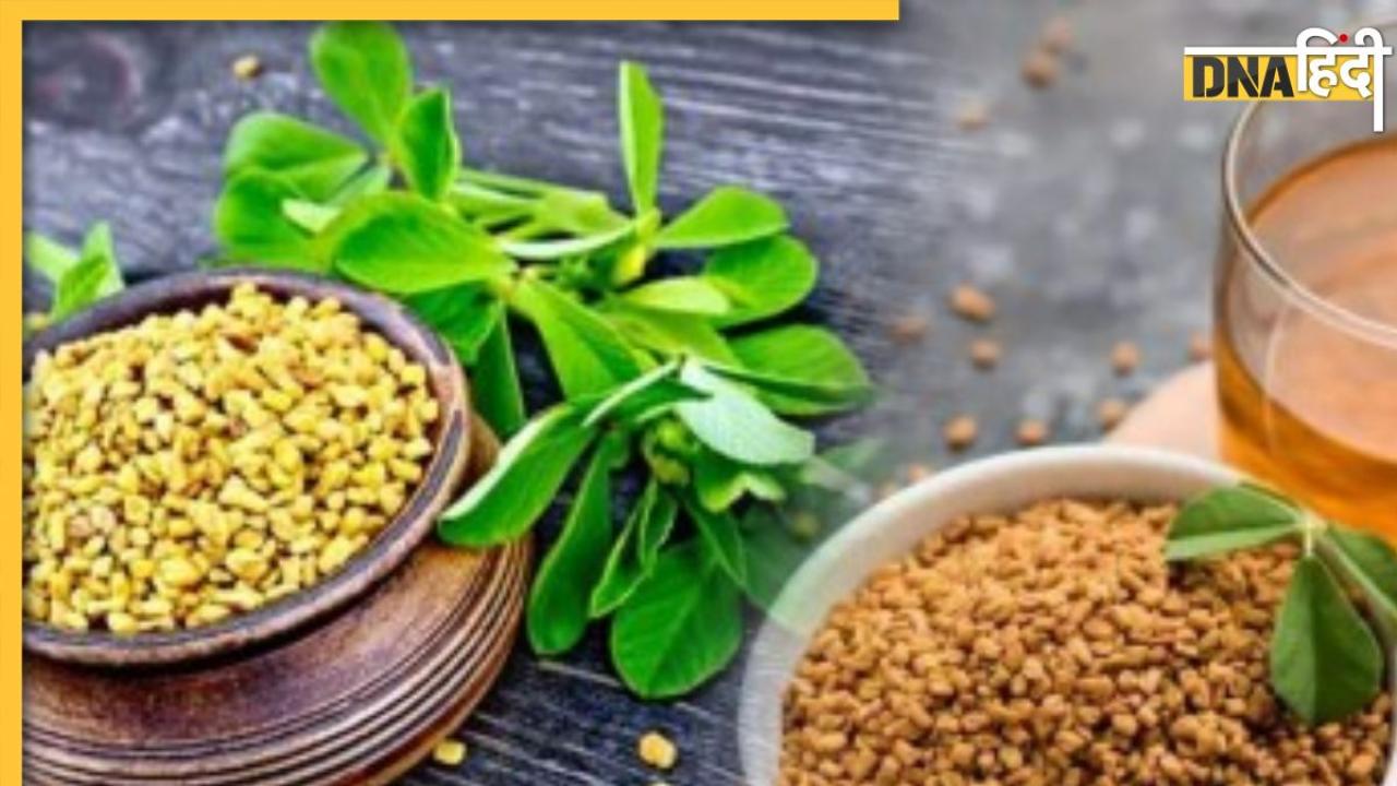 fenugreek Benefits: यौन शक्ति को बूस्ट और डायबिटीज को कंट्रोल करती है ये 1 चीज, नियमित सेवन से सेहत को मिलते हैं 5 फायदे