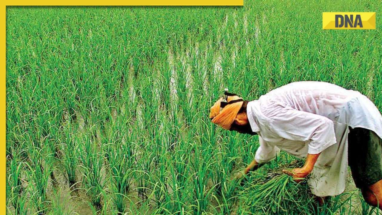 PM Kisan Samman Nidhi Yojana: Farmers Likely To Receive 14th ...