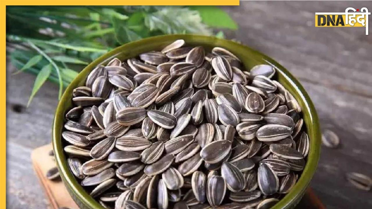 Sunflower Seeds Benefits: नसों में चिपके बैड कोलेस्ट्राॅल को गलाकर बाहर कर देंगे ये बीज, जानें खाने का सही तरीका और समय 