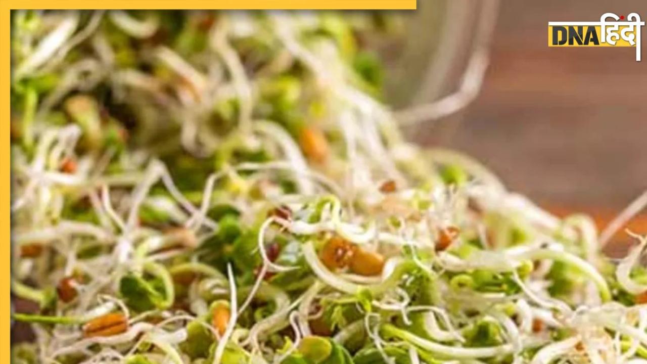 Benefits of Sprouts: ब्लड सर्कुलेशन और खराब डाइजेशन को करना है ठीक तो सुबह उठते ही इस चीज का करें सेवन