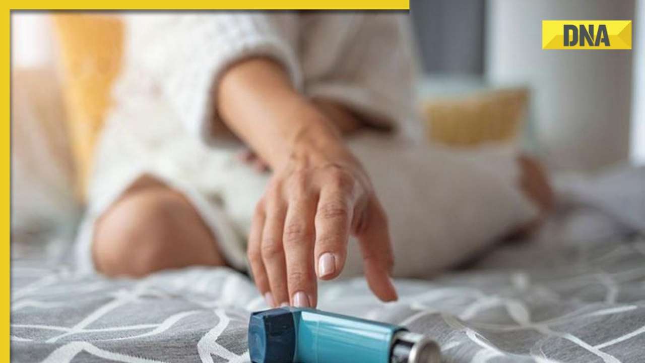 Curated visual reference: Gallery Detail: World Asthma Day 2023 5 Effective Tips To Prevent Asthma