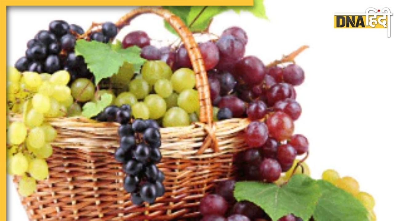 Grapes Health Benefits: बैड कोलेस्ट्राॅल कंट्रोल कर हार्ट तक को हेल्दी रखते हैं अंगूर, आसपास भी नहीं फटकती ये 5 बीमारियां