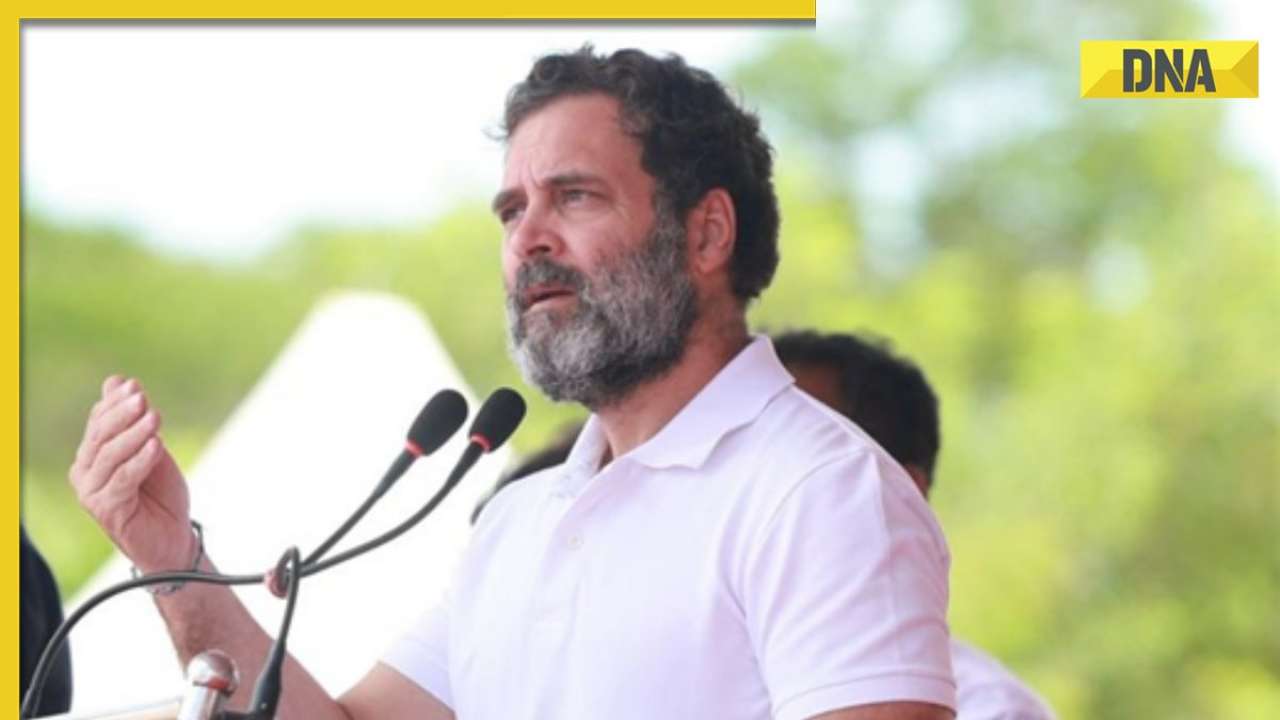 Gujarat HC declines interim relief to Rahul Gandhi in ‘Modi surname’ defamation case
