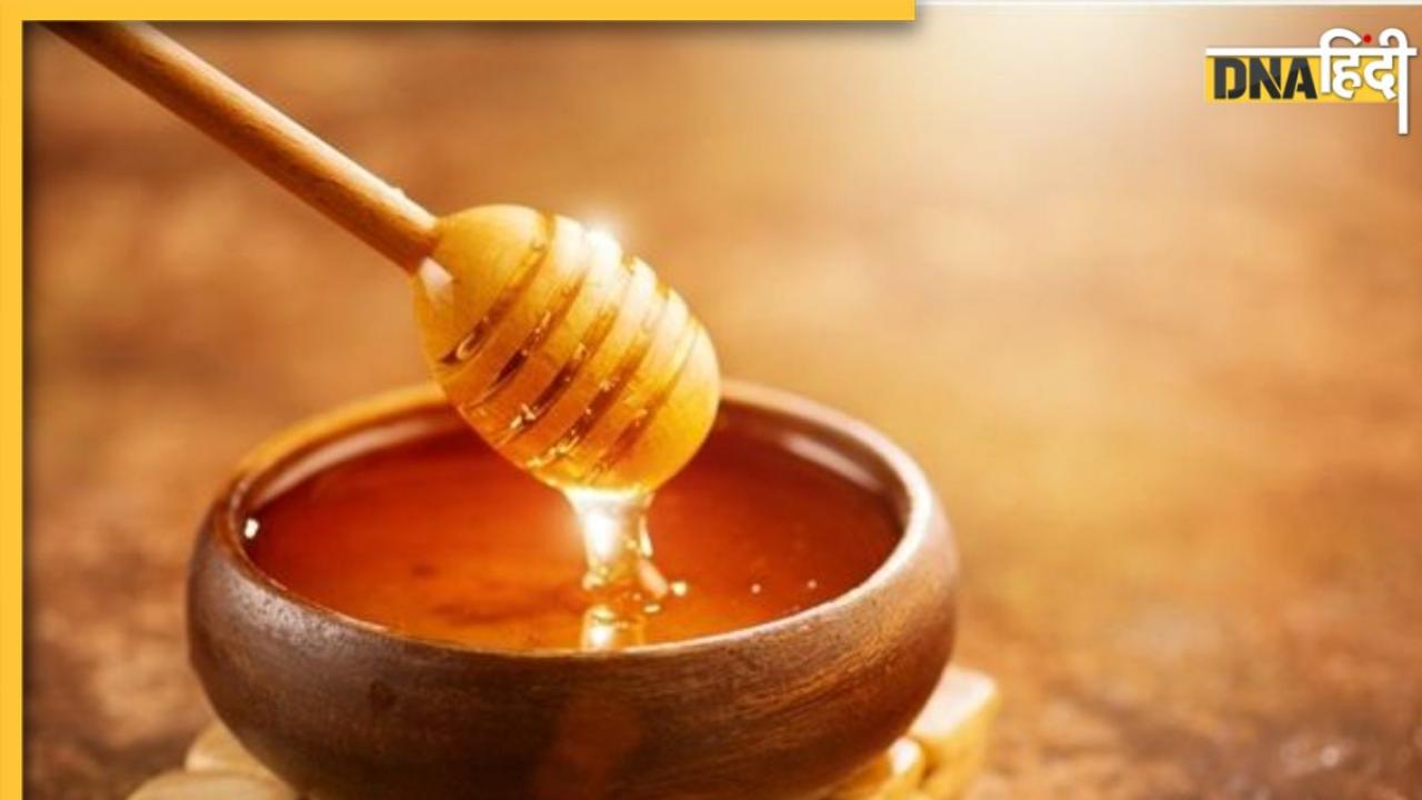 Most Expensive Honey: ये है दुनिया का सबसे महंगा शहद, कीमत इतनी की 1 किलो खरीदने में बिक जाए प्रॉपर्टी, जानिए क्या है इसकी खासियत