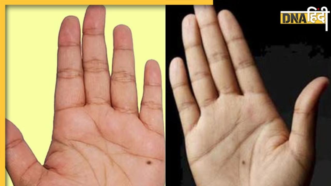 Hand Size Palmistry: हथेली के साइज से मिलते हैं कई संकेत, जानें क्या बताता है आपके हाथ का आकार