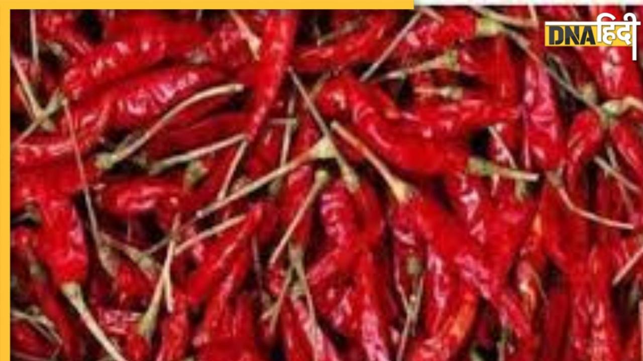 Laal Mirchi Upay: लाल मिर्च के इन उपायों से मिलेंगे चमत्कारी लाभ, अटके धन की वापसी से लेकर सफलता पाने में मददगार हैं ये उपाय