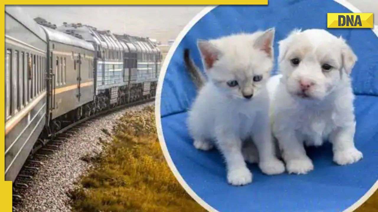 Good news for pet parents! IRCTC to allow passengers to book train tickets online