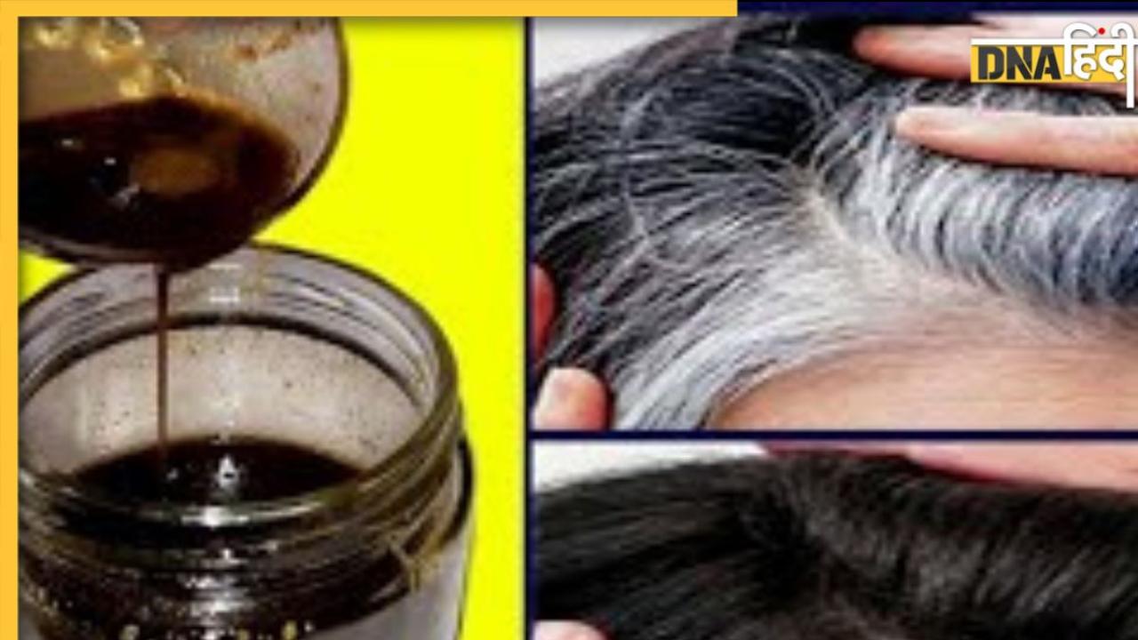 White Hair Remedy: सफेद बालों के लिए घर पर तैयार करें नेचुलर केश-काला तेल, नहीं पड़ेगी हेयर कलर या डाई तक की जरूरत