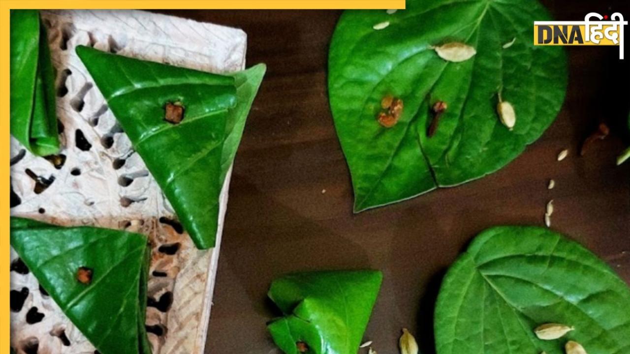 Paan Benefits For Mouth Ulcers: गर्मी में मुंह के छालों से हैं परेशान तो खाएं ये पान, बेहद कारगार है देसी नुस्खा 