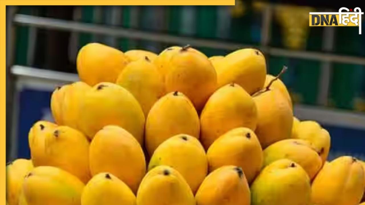 Chemically Ripened Mangoes: कहीं आप भी तो नहीं खा रहे केमिकल से पके आम? सेहत के लिए है खतरनाक, इन आसान तरीकों से करें पहचान