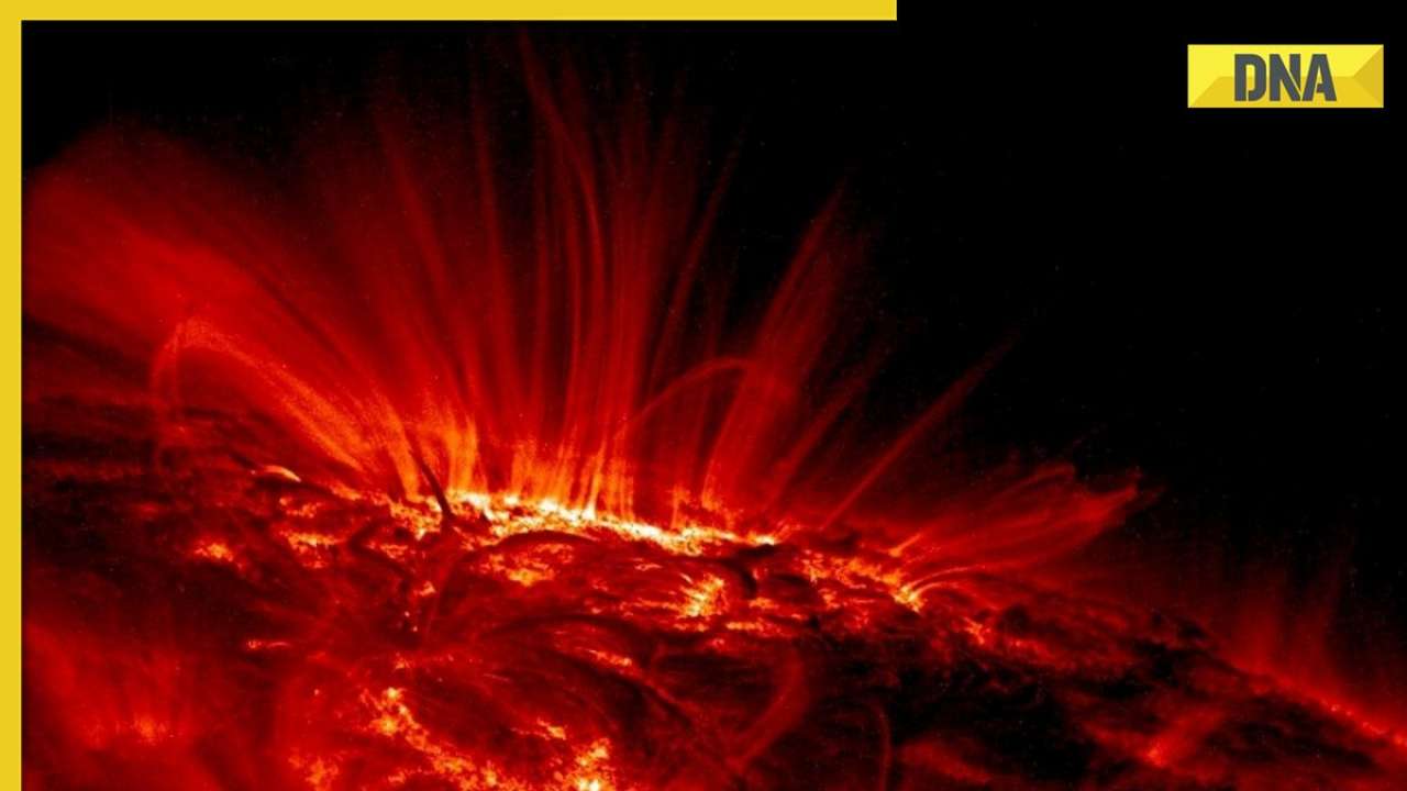 HD sun with solar flare wallpapers | Peakpx