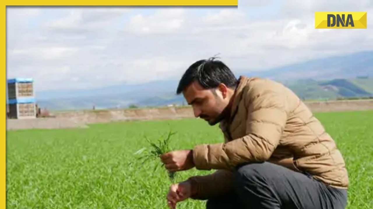 Meet Narayan Lal Gurjar, started business with orange-banana peels, now has Rs 2 crore turnover, exports to US, Thailand