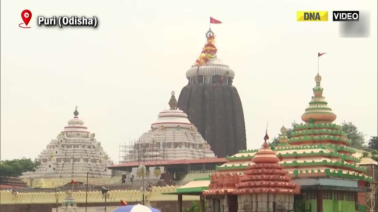 Odisha: Preparations in full swing for Jagannath Rath Yatra, construction of chariots underway