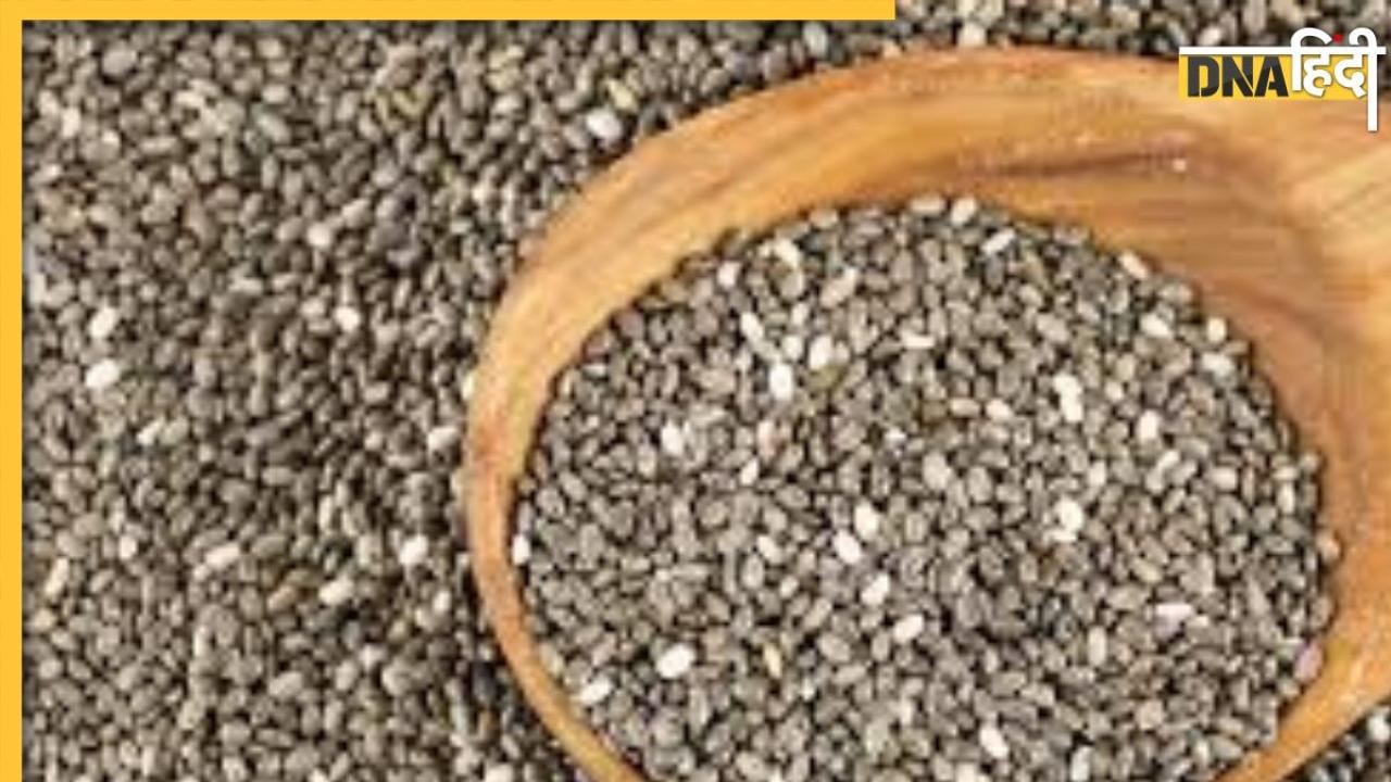 Chia Seeds Side Effects: चिया सीड्स का ज्यादा सेवन सेहत के लिए है खतरनाक, हो सकती हैं ये गंभीर समस्याएं