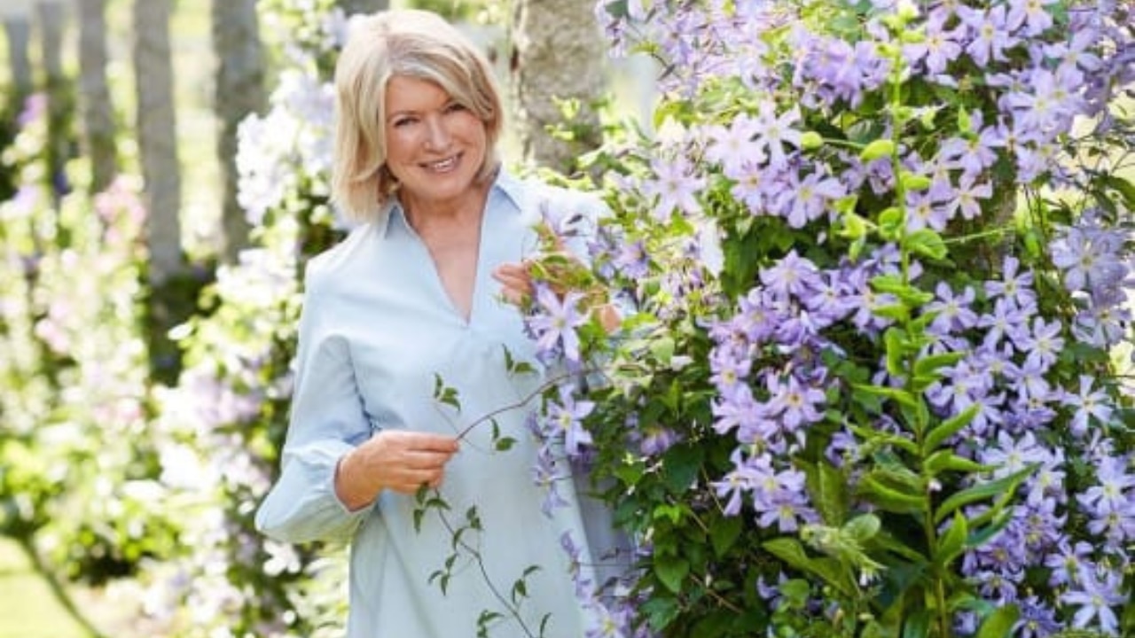 Martha Stewart