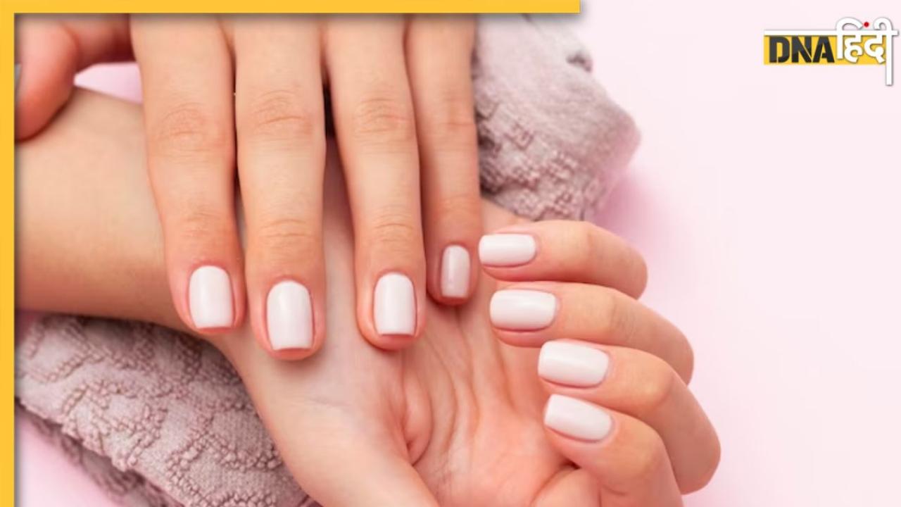 Nail Care: कमजोर-पीले होकर टूट रहे हैं नाखून? आज से ही खाना शुरू कर दें ये 5 फूड्स, हफ्तेभर में Nails होंगे लंबे और मजबूत