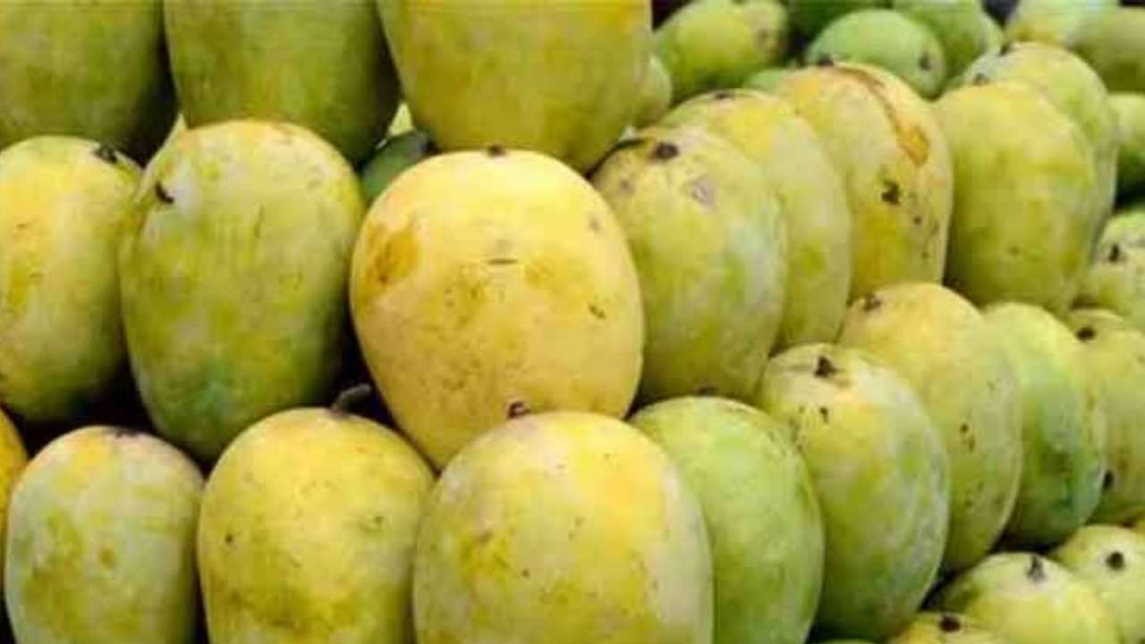 Mango Langda