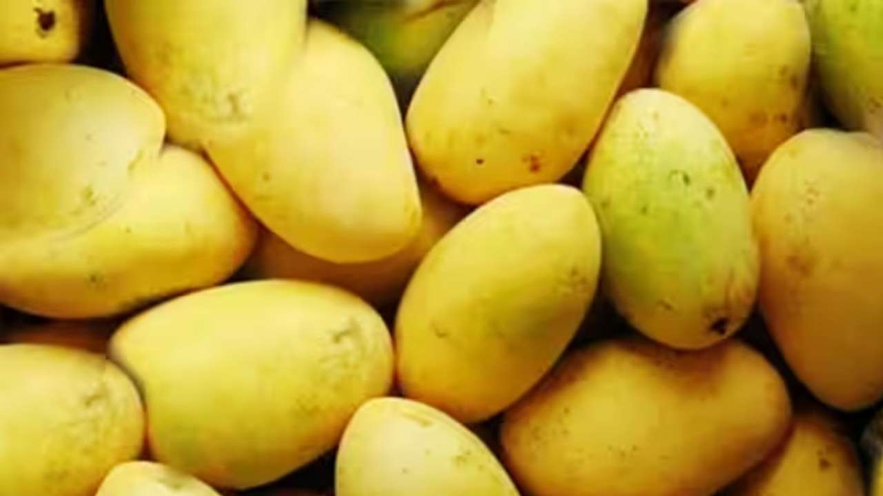 Mango Chausa