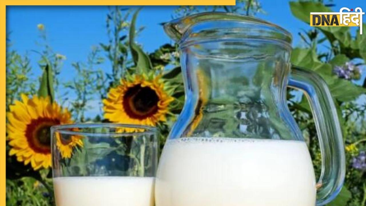 Tips To Store Milk: गर्मी में जल्दी फट जाता है दूध तो अपनाएं ये 3 आसान मिल्क स्टोरिंग टिप्स, लंबे समय तक बना रहेगा फ्रेश 