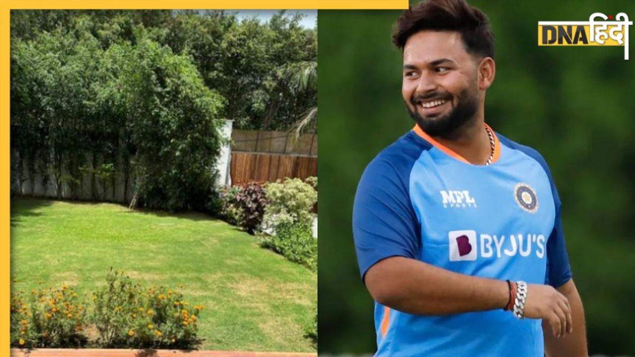 Rishabh Pant ने फैंस को दिया बड़ा काम, गार्डन में छिपे इस जीव को ढूंढने का दिया चैलेंज