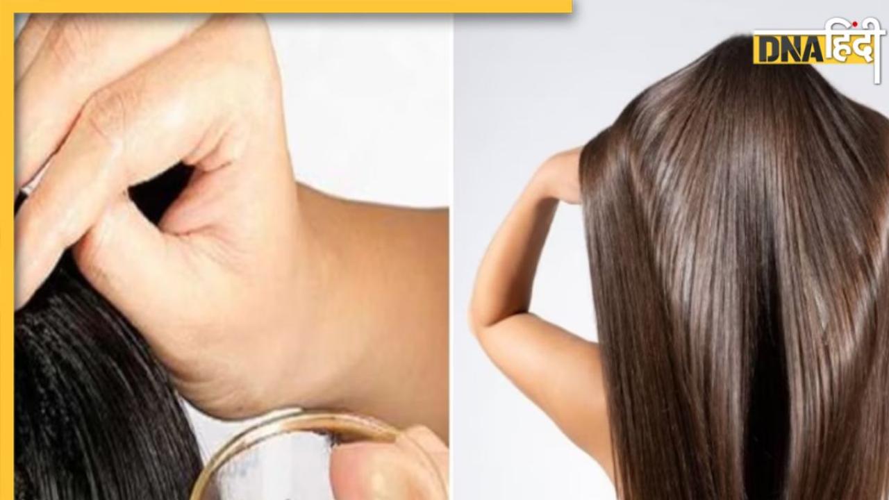 Best Oil For Hair Growth: कमर तक लंबे बालों के लिए लगाएं ये 5 तेल, तेजी से होगी Hair Growth और मिलेंगे काले घने बाल