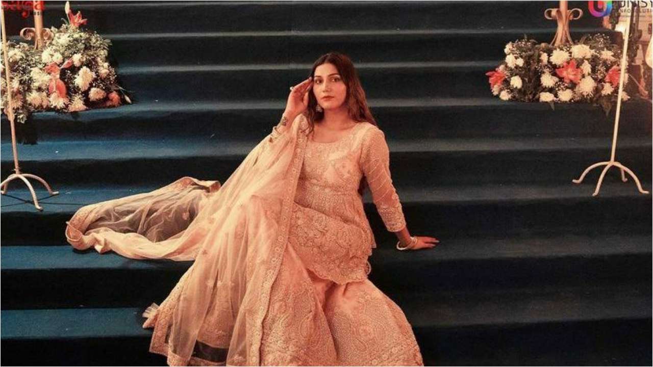 Hariyanvi Dancer Sapna Chaudhary Sex Fuck Video - How Sapna Choudhary, went from earning Rs 3000 per stage show to walking  the Cannes red carpet, all you need to know