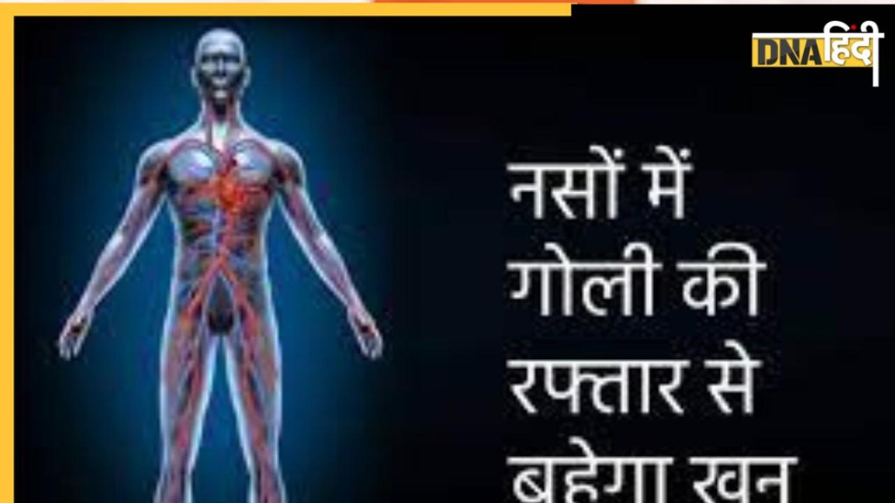 Cholesterol Home Remedy: नसों में जमी वसा गलाकर ये 6 चीजें खून का दौरा बढ़ा देंगी, तुरंत दूर होगा हार्ट अटैक-स्ट्रोक का खतरा