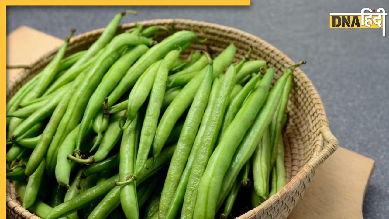 Beans For Diabetes: डायबिटीज में किसी दवाई से कम नहीं है ये हरी सब्जी, खाते ही कंट्रोल हो जाता है High Blood Sugar