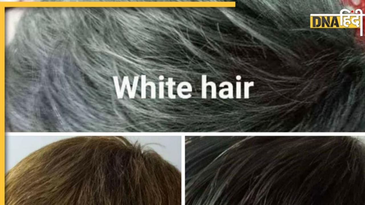 Goodbye to White Hair: शर्तिया सफेद बाल होंगे नेचुरली हमेशा के लिए काले बस हिना-इंडिगो पेस्ट लगाना कर दें शुरू 