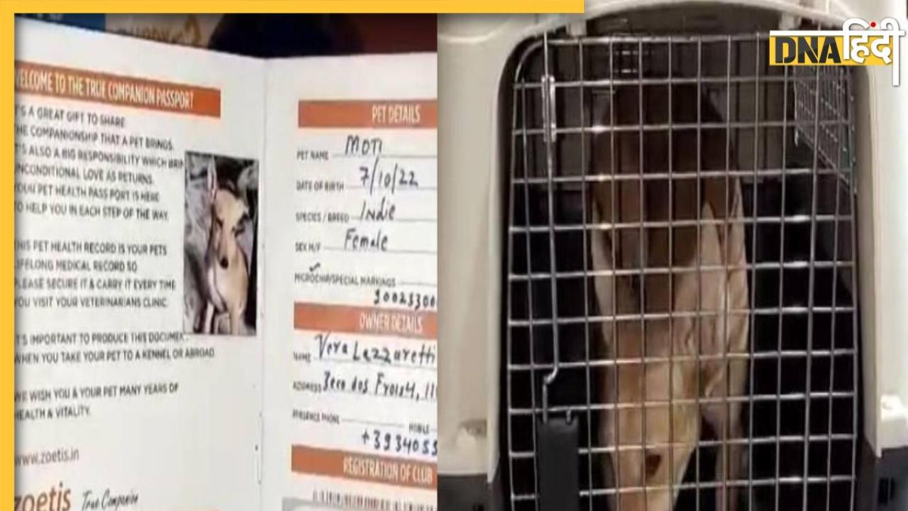 Dog Passport: बनारस में गली के आवारा कुत्तों का बन गया पासपोर्ट, अब विदेश जाकर बसेंगे